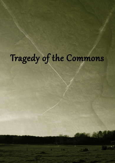 tragedy of the commons med text